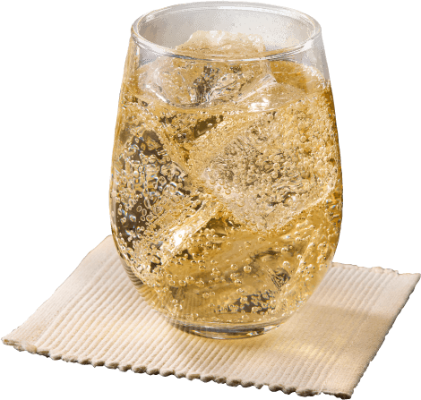 シュワップル ジンジャーエール版